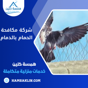 شركة مكافحة الحمام بالدمام