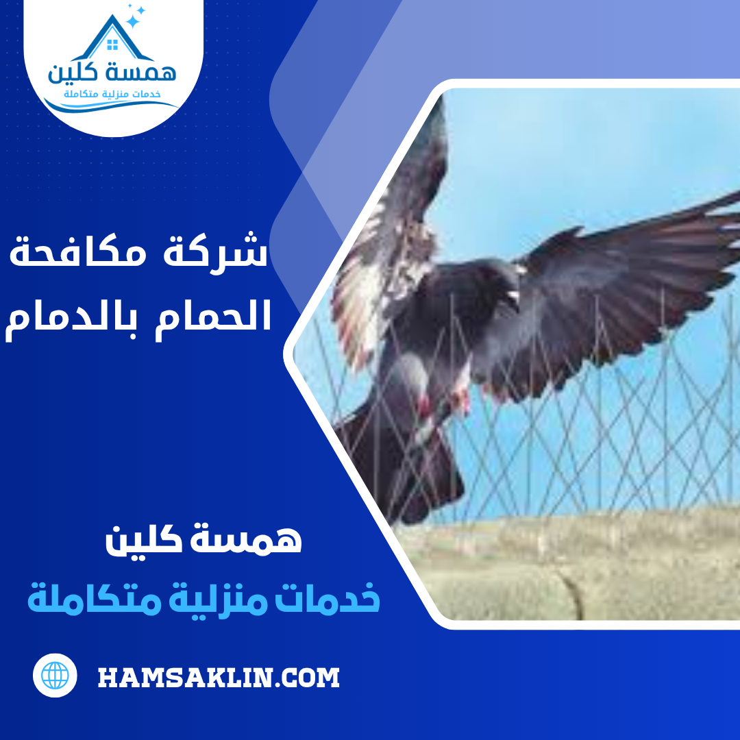 شركة مكافحة الحمام بالدمام